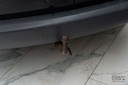 Autoscout Image 18